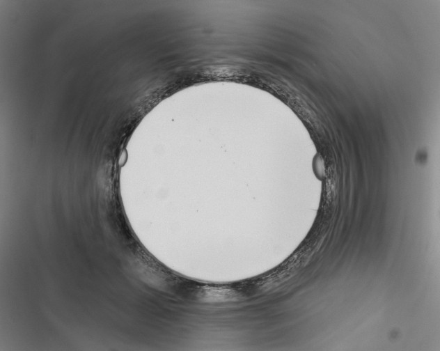X0000116650605201001251158
