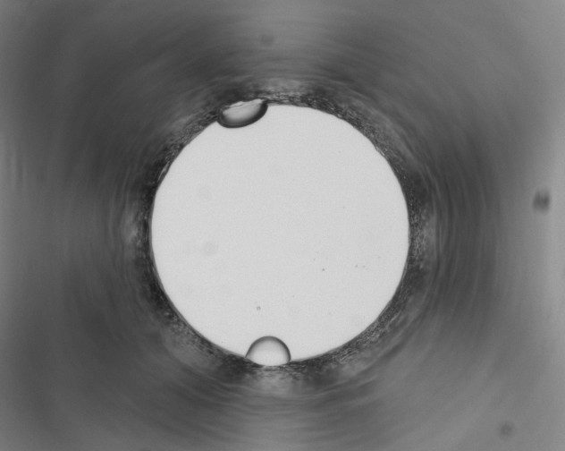 X0000116650608201001251158