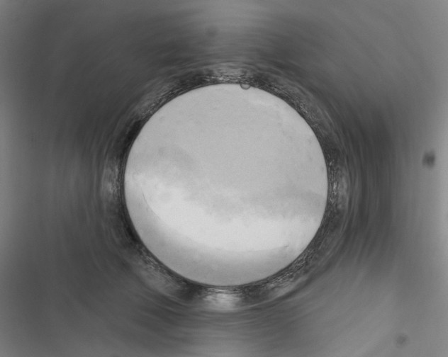 X0000116650610201001251158
