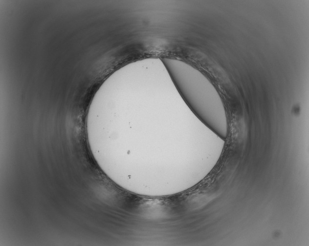 X0000116650611201001251158