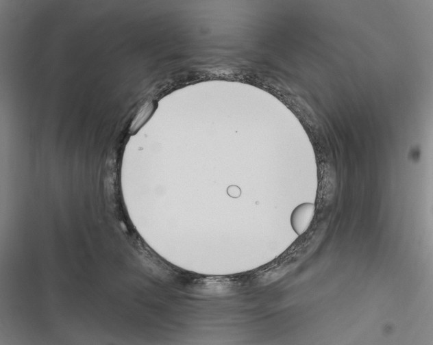 X0000116650612201001251158