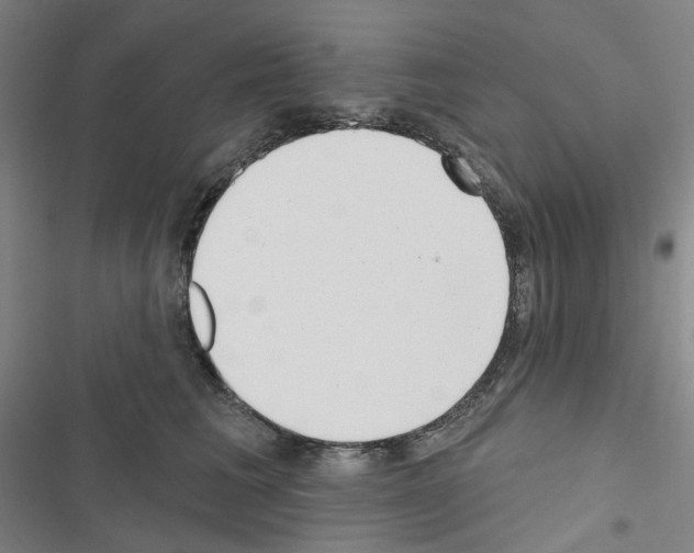 X0000116650613201001251158