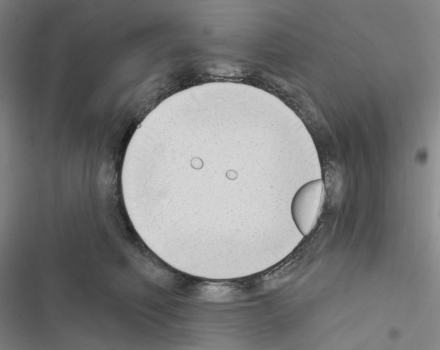 X0000116650614201001251158
