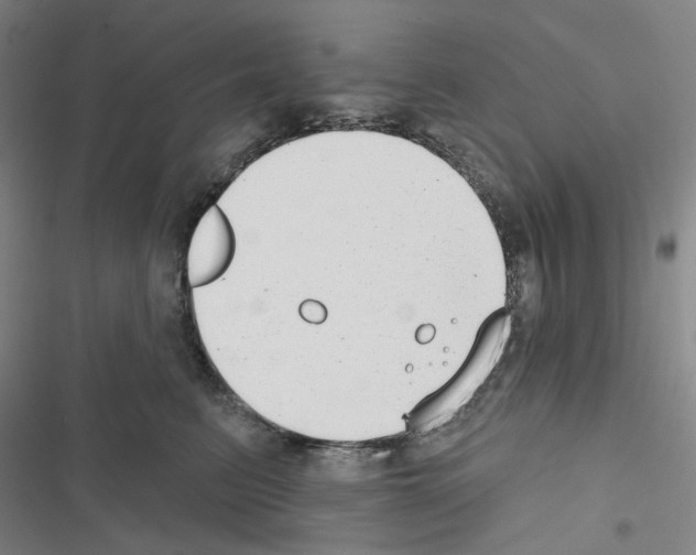 X0000116650615201001251158