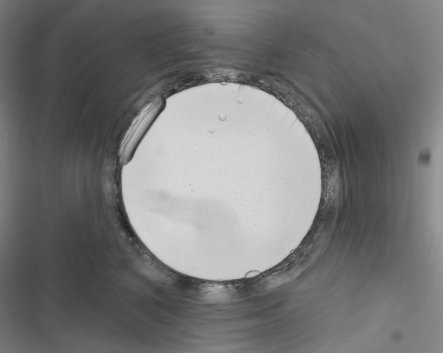 X0000116650616201001251158