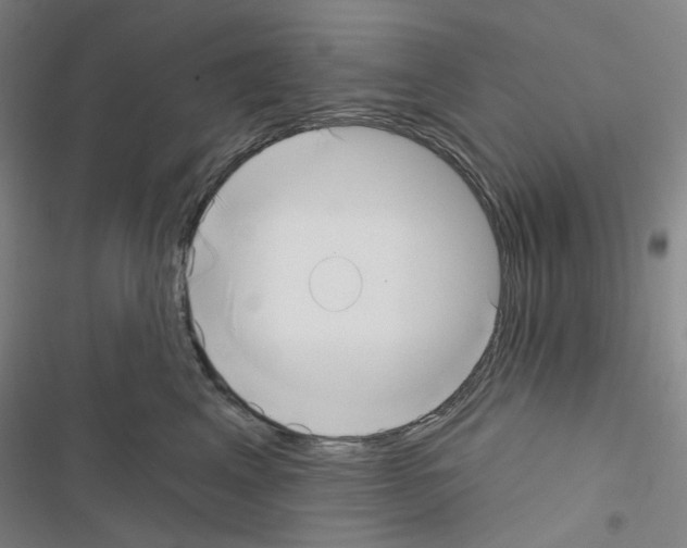 X0000116650617201001251158