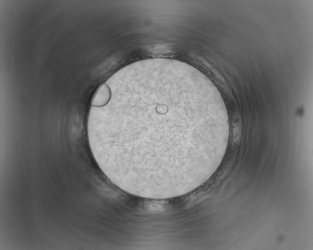 X0000116650618201001251158