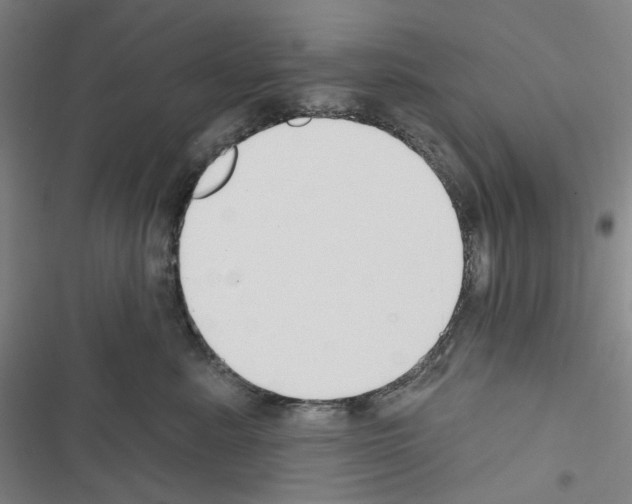 X0000116650619201001251158