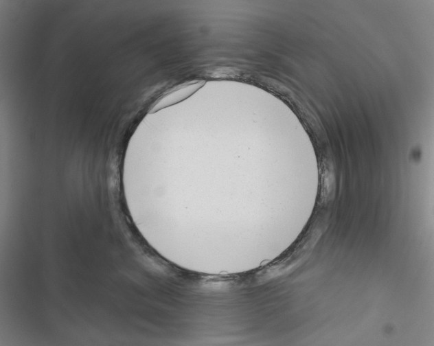 X0000116650620201001251158