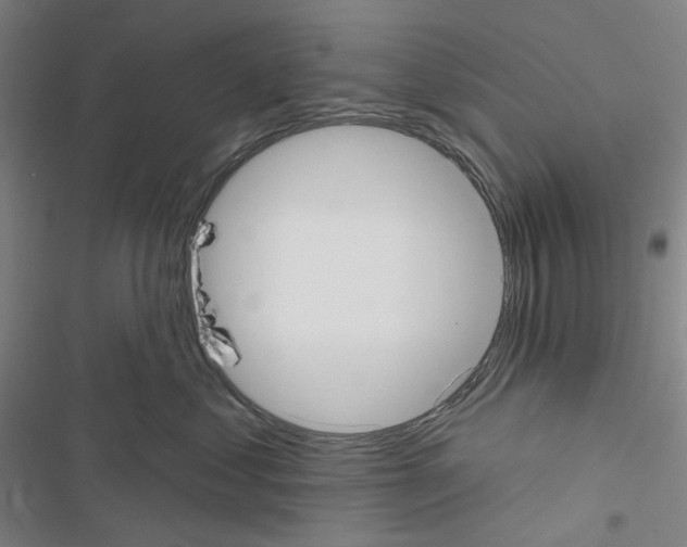 X0000116650621201001251158