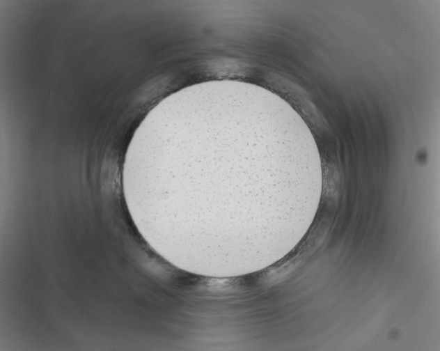 X0000116650622201001251158