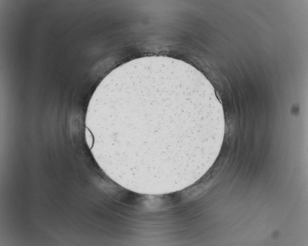 X0000116650623201001251158