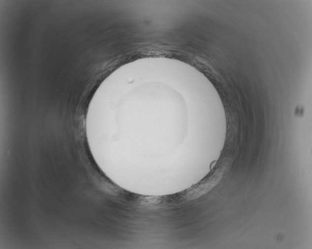 X0000116650624201001251158