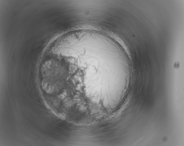 X0000116650625201001251157