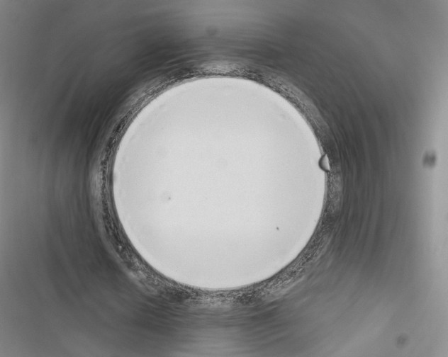 X0000116650626201001251157