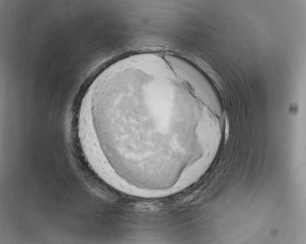 X0000116650627201001251157