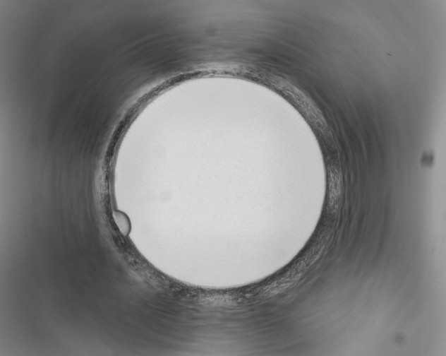 X0000116650628201001251157