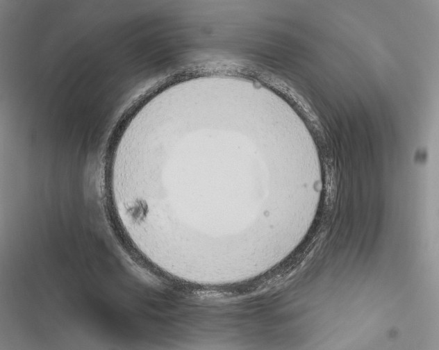 X0000116650629201001251157