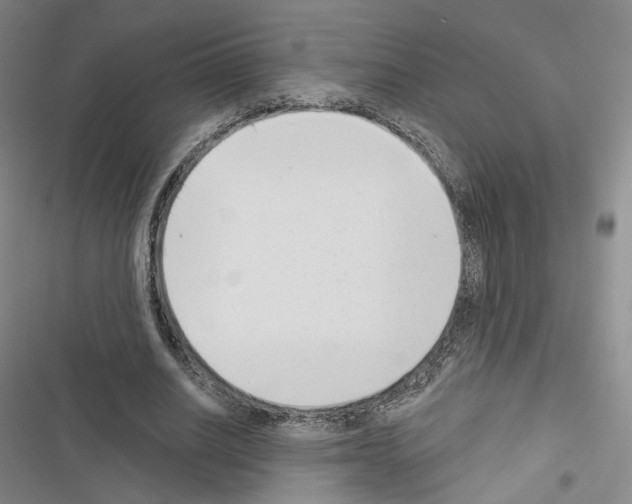 X0000116650630201001251157
