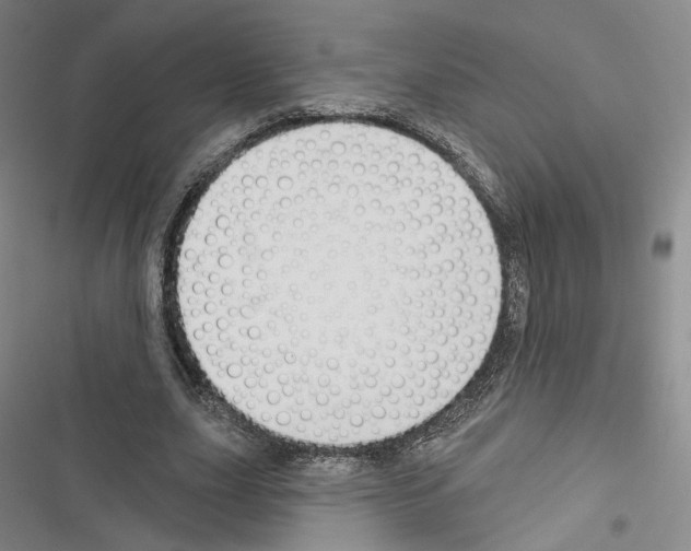 X0000116650631201001251157