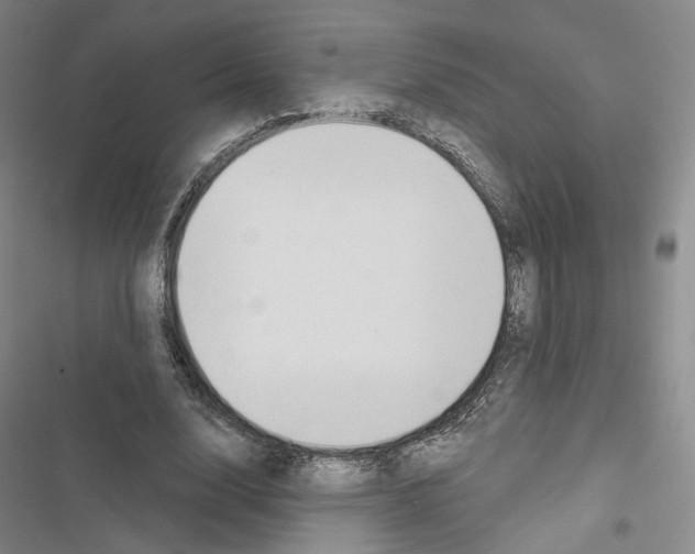 X0000116650632201001251157
