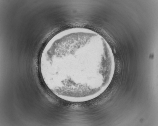 X0000116650634201001251157