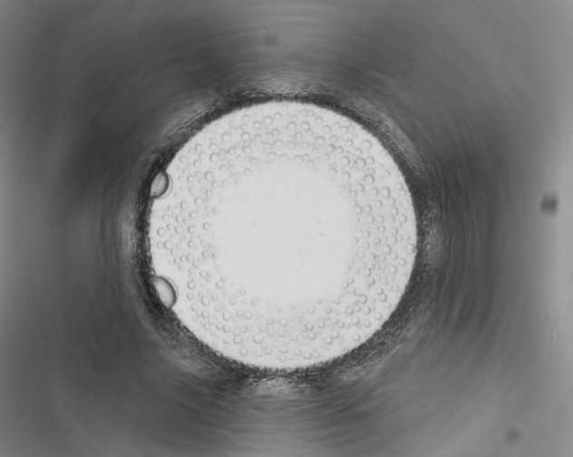 X0000116650635201001251157