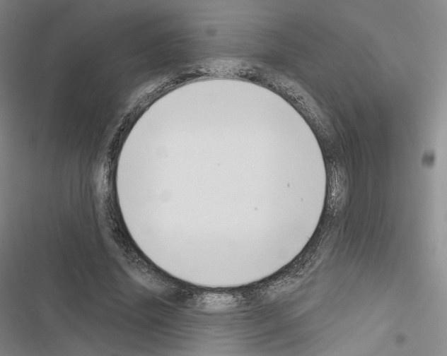 X0000116650636201001251157