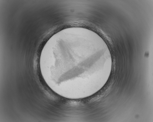 X0000116650637201001251157