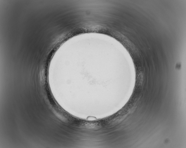 X0000116650638201001251157