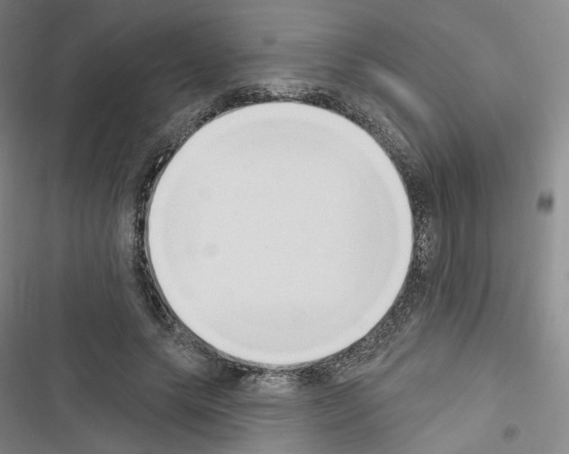 X0000116650639201001251158