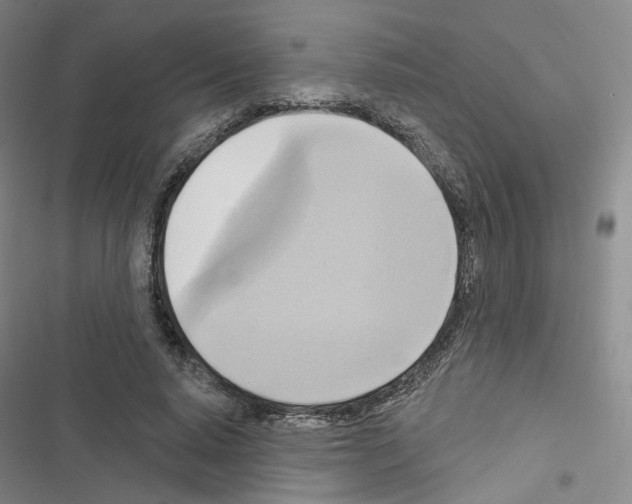 X0000116650640201001251158