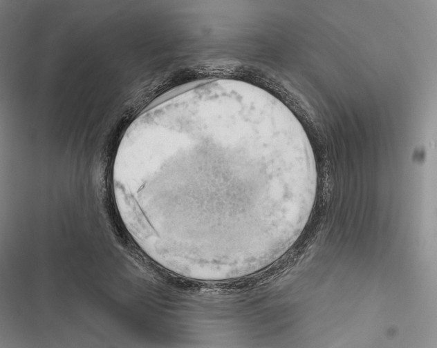 X0000116650641201001251158