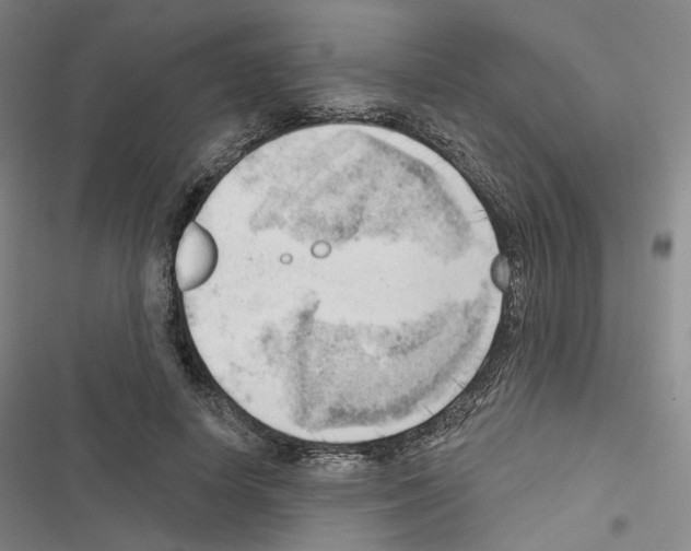 X0000116650642201001251158