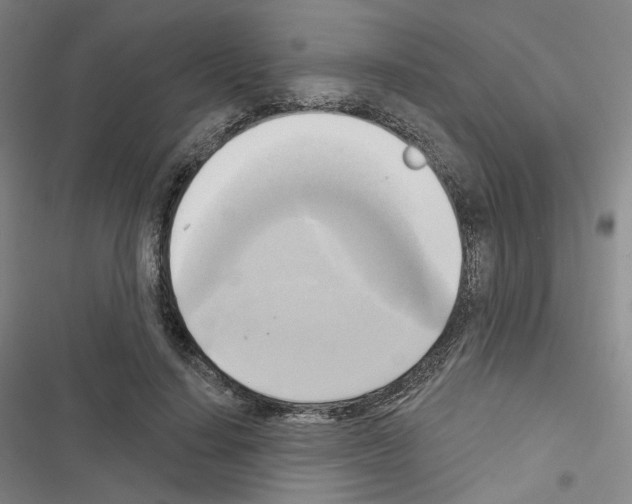 X0000116650644201001251158