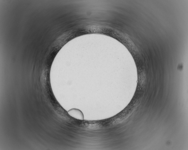 X0000116650645201001251158