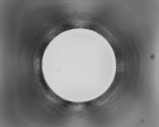 X0000116650646201001251158
