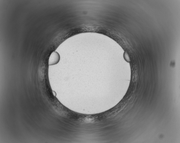 X0000116650647201001251158