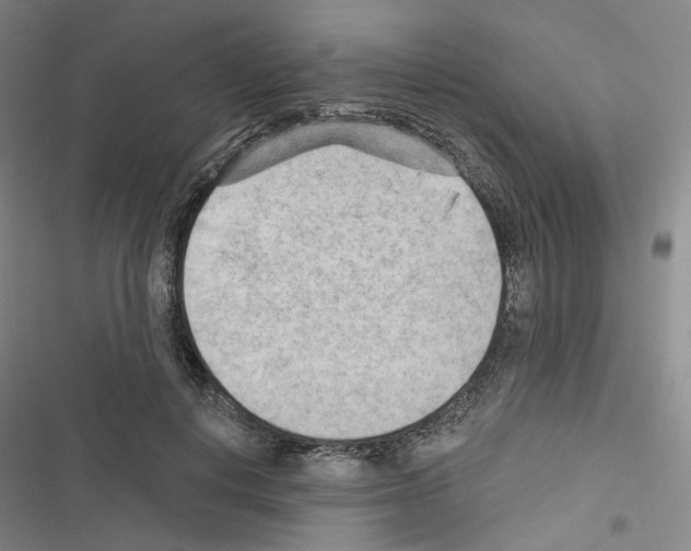 X0000116650648201001251158