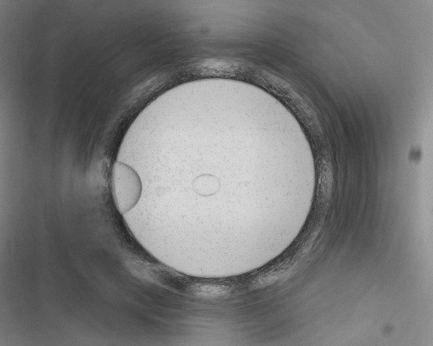 X0000116650649201001251158