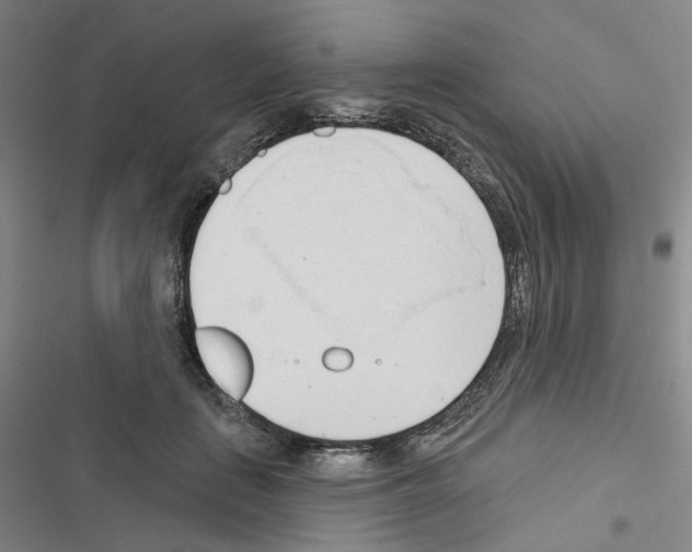 X0000116650651201001251158