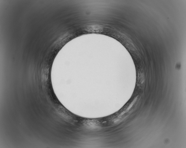 X0000116650652201001251158