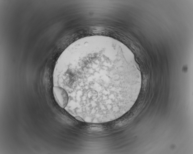 X0000116650653201001251158