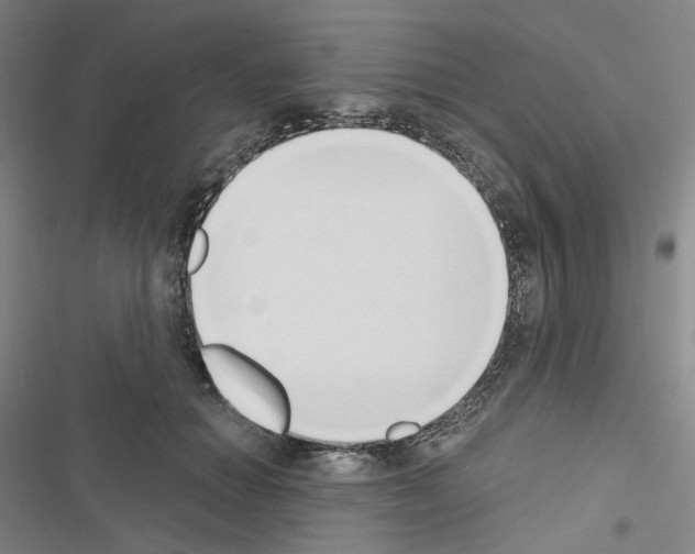 X0000116650654201001251158