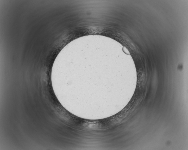 X0000116650655201001251158