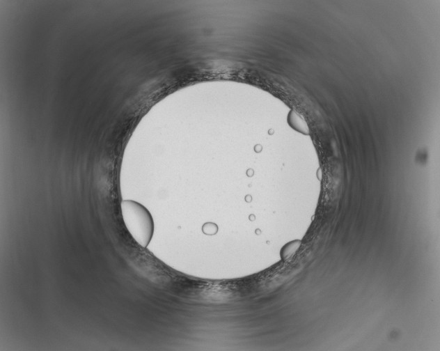 X0000116650656201001251158