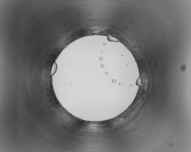 X0000116650657201001251158