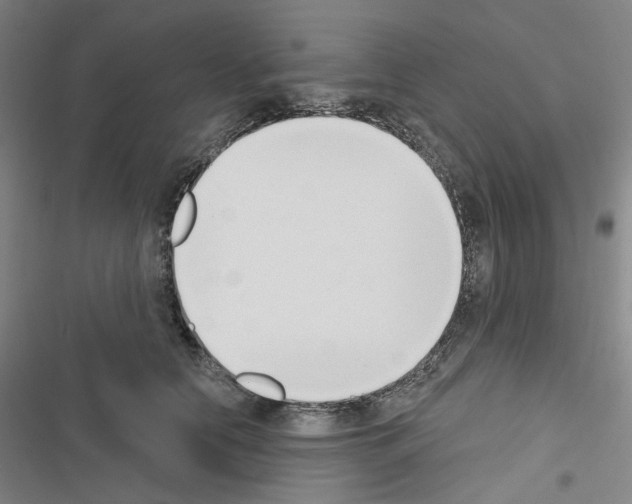 X0000116650658201001251158