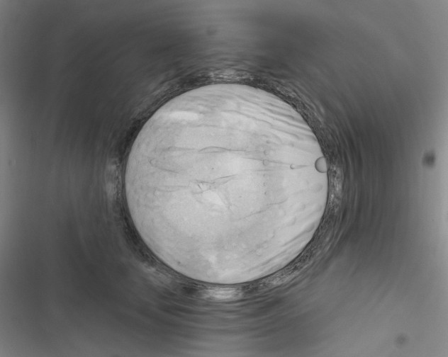 X0000116650659201001251158