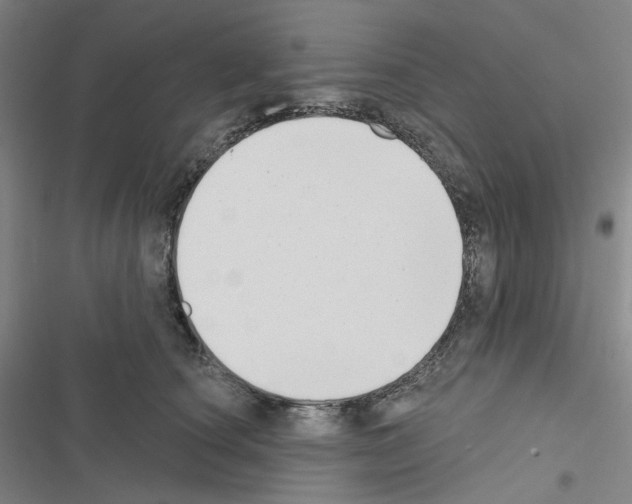 X0000116650660201001251158
